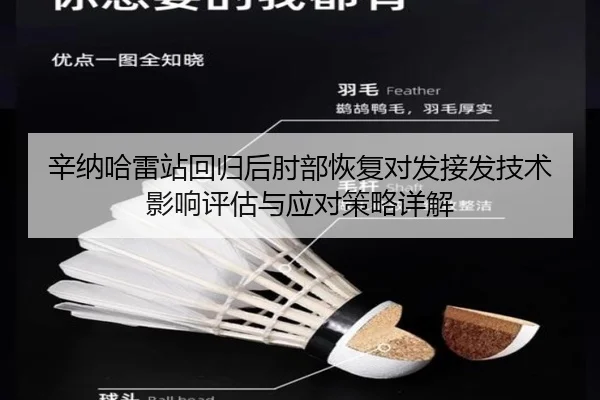 辛纳哈雷站回归后肘部恢复对发接发技术影响评估与应对策略详解